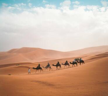 Ride The Desert Golden Sands On Camels back